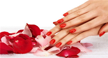 佛山伊丽莎白美甲专题课程佛山伊丽莎白美容学